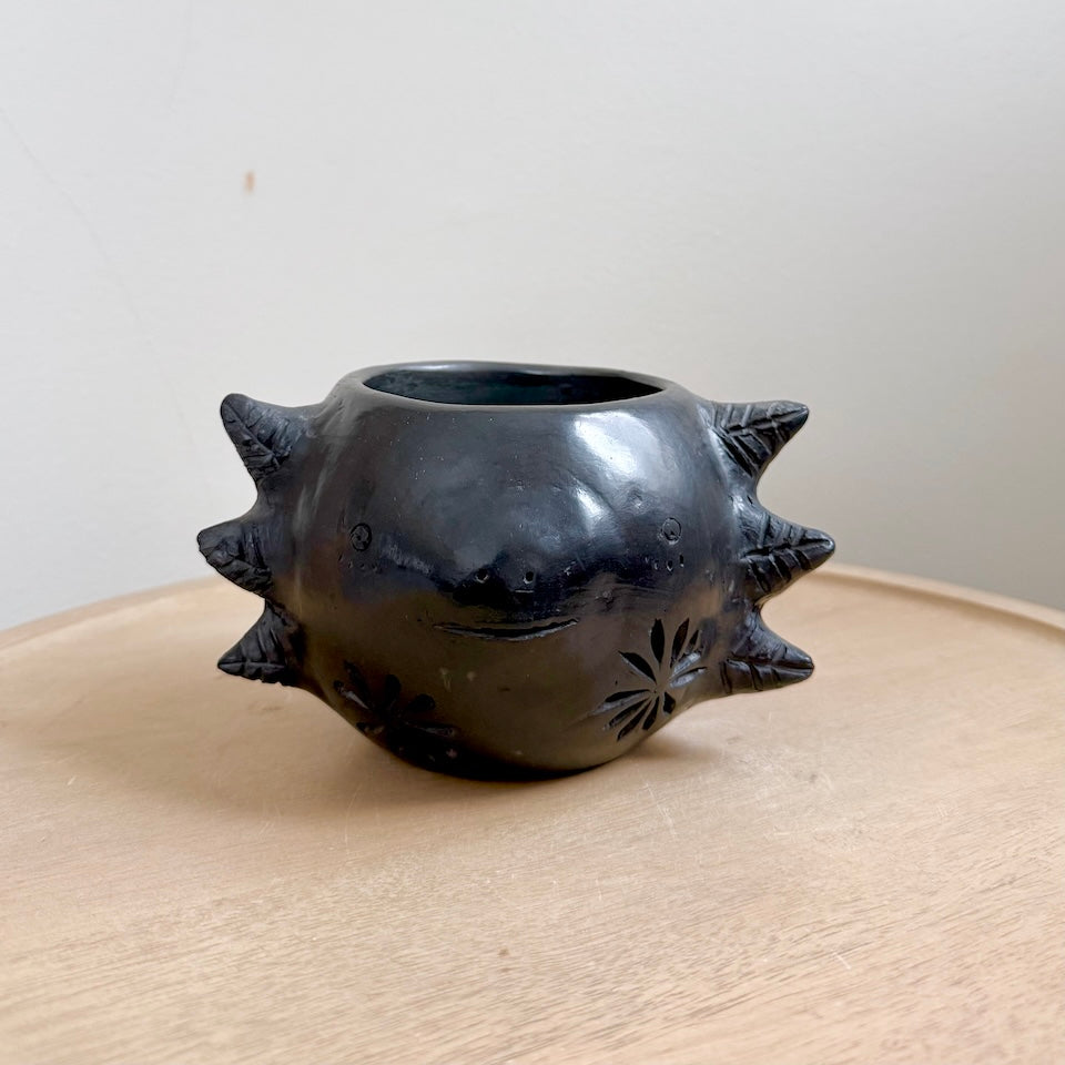 Barro Negro Axolotl Plant Pot