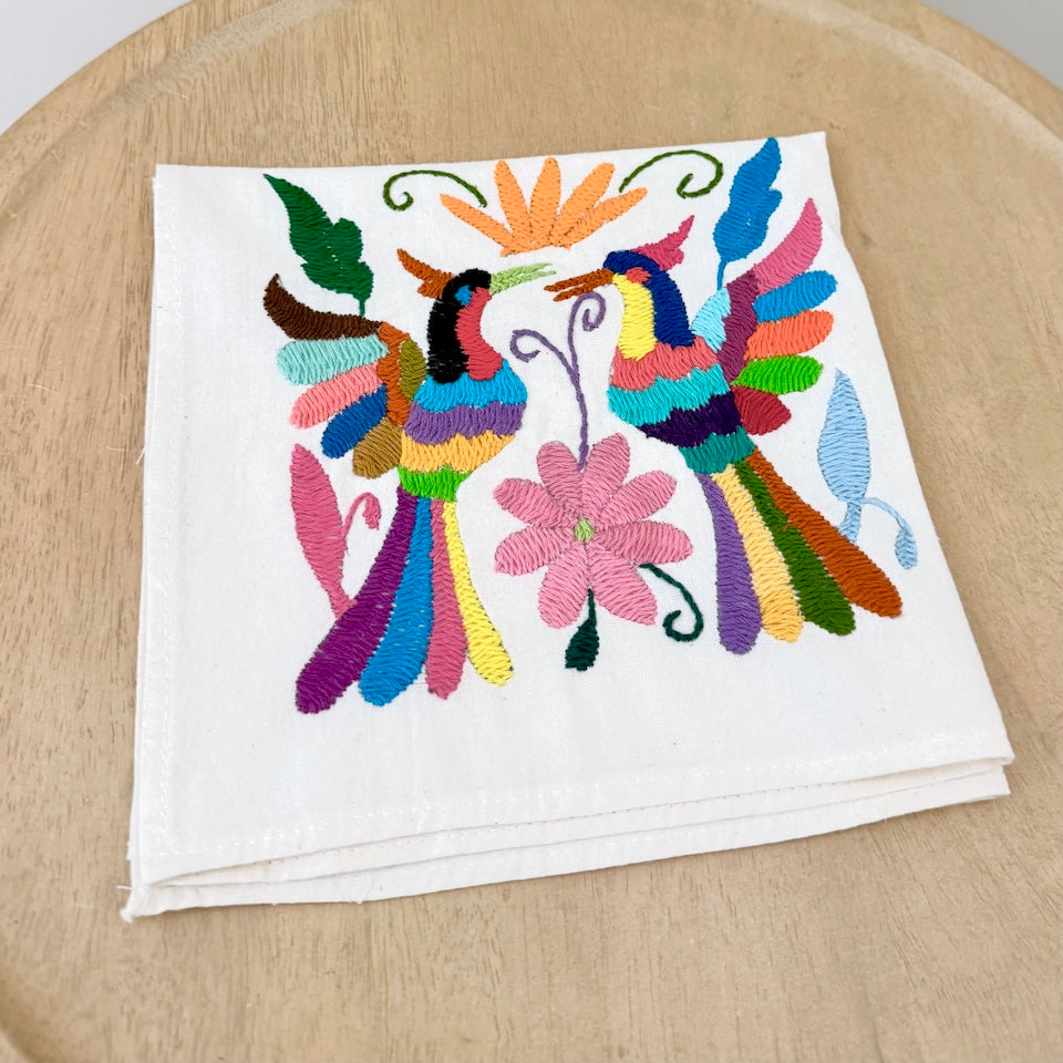 Traditional Multi Color Otomi Napkins
