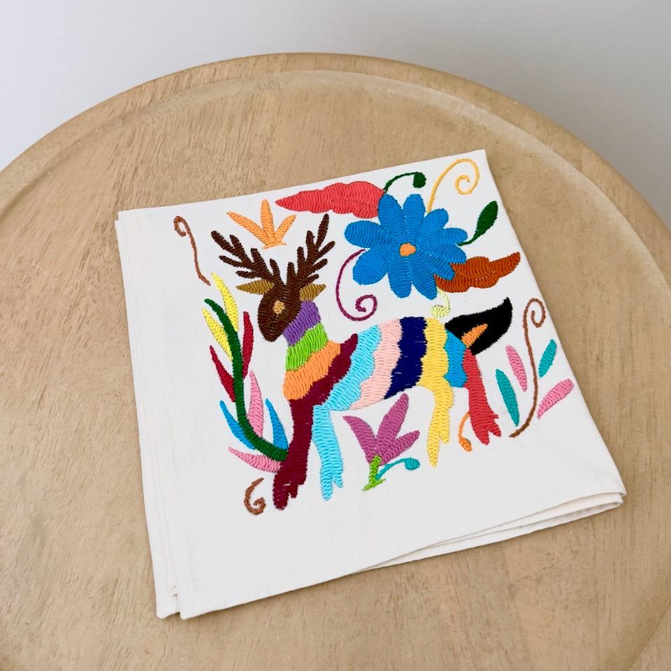 Traditional Multi Color Otomi Napkins